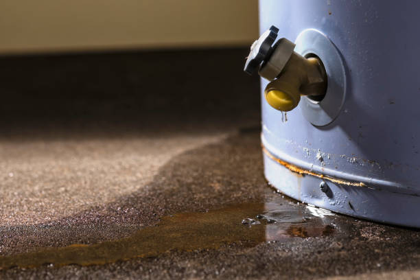 Best Water damage restoration process  in Linntown, PA