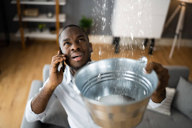 Best Ceiling water damage repair  in Linntown, PA
