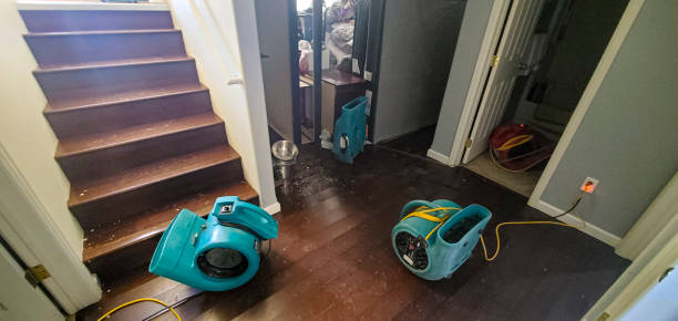 Best Local water damage restoration  in Linntown, PA