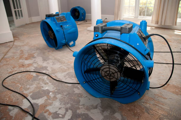 Best Water damage restoration near me  in Linntown, PA