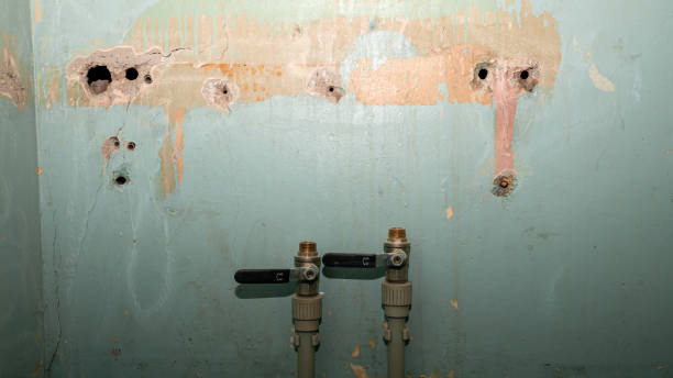  Linntown, PA Water damage restoration Pros