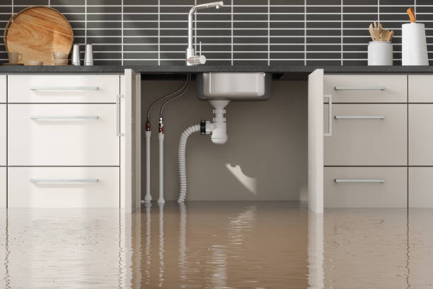 Best Flood damage cleanup  in Linntown, PA