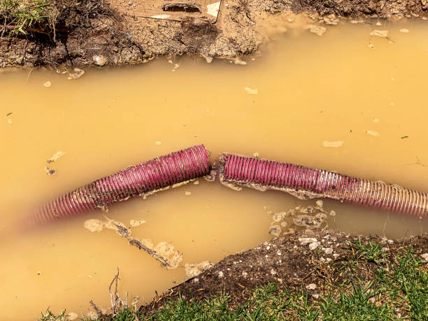 Best Flood damage cleanup  in Linntown, PA