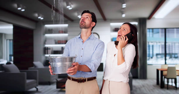 Best Carpet water damage restoration  in Linntown, PA